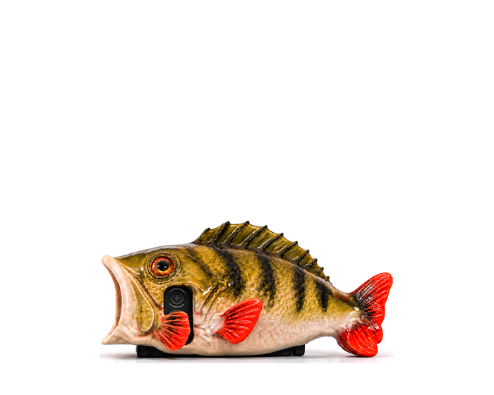 Perch Optic Cover · Holographic
