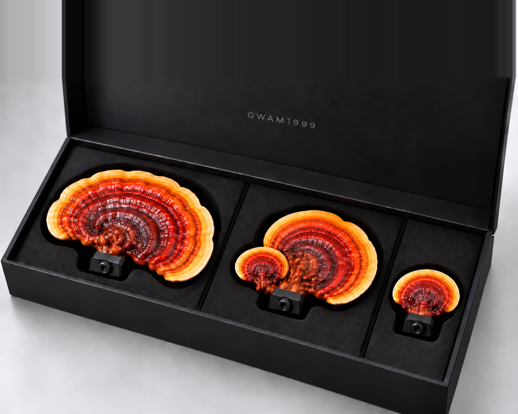 Tree Mushroom Pack