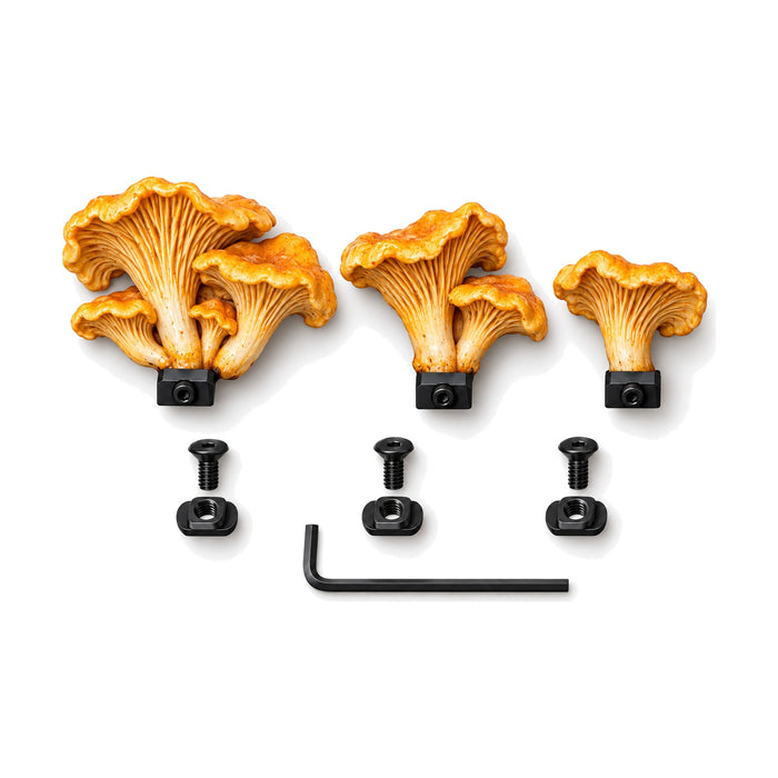 Chanterelle Pack