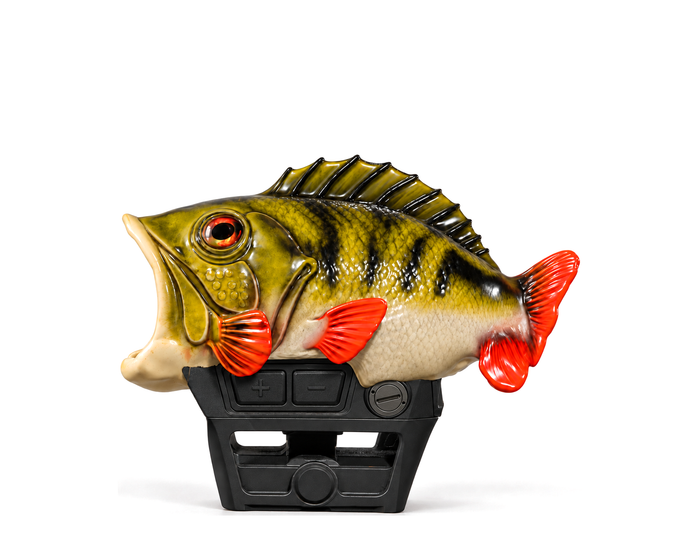 Perch Optic Cover · Holographic