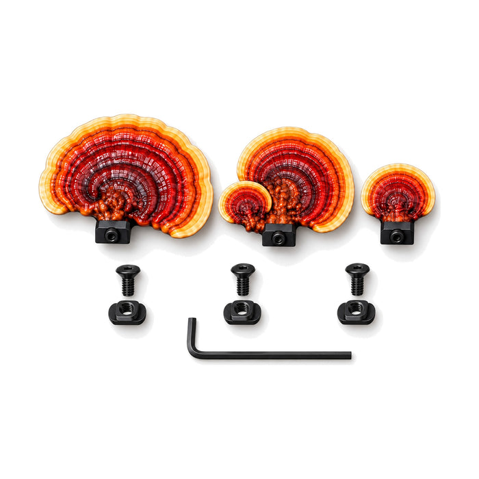 Tree Mushroom Pack